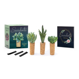 Succulents Magnet Mini Kit